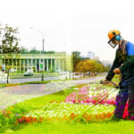 lawn-maintenance-service