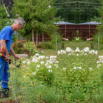 yard-maintenance-tips