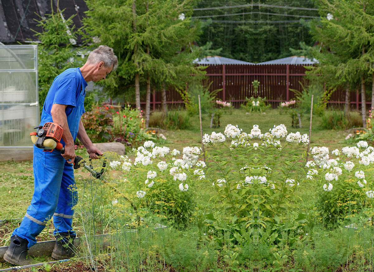 yard-maintenance-tips